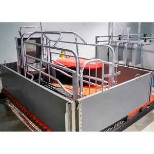 Overseas showroom provided farrowing crates for pigs farrowing pens for pigs pig cage
