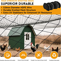 Zwaarbelastbaar vogelnestnet, versterkt HDPE pluimveennet, anti-vogelnet voor kippenhokken, pluimveestallen en gewasbescherming
