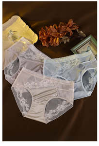 Braguitas de Cintura Media <span class=keywords><strong>para</strong></span> Chicas Curvilíneas, Talla Grande, Lencería Ligera de Lujo, Encaje Sexy, Malla Transparente, 100.00 kg - Product Image 5