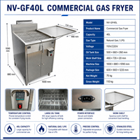 Friteuse professionnelle à gaz 40L en acier inoxydable, pour poulet et frites, directement de l'usine, personnalisable OEM