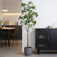 Nouveaux produits : Plante artificielle de mangrove en plastique, 1,2 m, 1,5 m, 1,8 m, 2,1 m, Bonsaï en pot pour la décoration intérieure