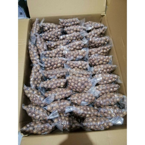 [ตัวอย่างสินค้าฟรี] ถั่วแมคคาเดเมียเวียดนาม คุณภาพพรีเมียม ทุกเกรด ถั่วแมคคาดิม่าดิบ จากผู้จัดจำหน่ายที่ดีที่สุด WS +84.359313086 - Product Image 4