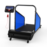 Tapis roulant électrique d'extérieur pour grands chiens et chats, moteur 2,5 CV, écran LED, appareil de fitness et d'exercice