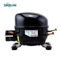 Compresor de Refrigerador y Congelador de Acero Inoxidable de Tamaño Pequeño R134A de 1/3HP, 1/4HP, 1/5HP, 1/6HP