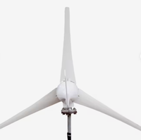 Éolienne dynamique spirale 300W, diamètre de rotor 0,5m, sortie DC12V/24V pour éclairage public et stations de signalisation |   Hybride solaire-éolien