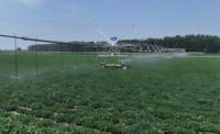 Système d'irrigation agricole complet avec centre de distribution d'eau à pivot technique, prêt à l'exportation vers l'Afrique et la Centrale-Asie