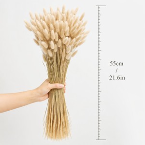 Bouquet de fleurs séchées naturelles de <span class=keywords><strong>Lagurus</strong></span> Ovatus (Queue de Lapin) pour décoration bohème, mariage, arrangement de vase – Vente en gros - Product Image 4