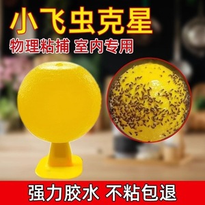 Fly Traps Sticky Ball For Flies Fruit Flies Small Flying Insects Non Toxic Plastic Indoor Use Home Pest Control Yiwu Origin - Product Image 3
