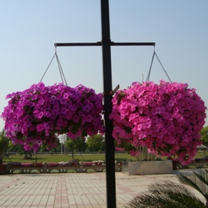 Panier vertical de jardinage de qualité supérieure, panier suspendu pour fleurs - Product Image 3