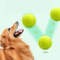 Vente en gros de balles de tennis pour chiens de luxe personnalisées avec logo, haute élasticité, écologiques, imperméables, jouets interactifs pour chiens, jouets à mâcher pour chiens