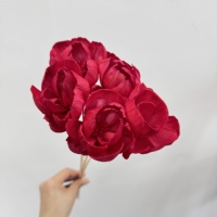 Bunga Peony Kayu Buatan Tangan Multi-Warna Dekorasi Dinding Rumah Tanaman Bunga untuk Wisuda Natal Rangkaian Potong