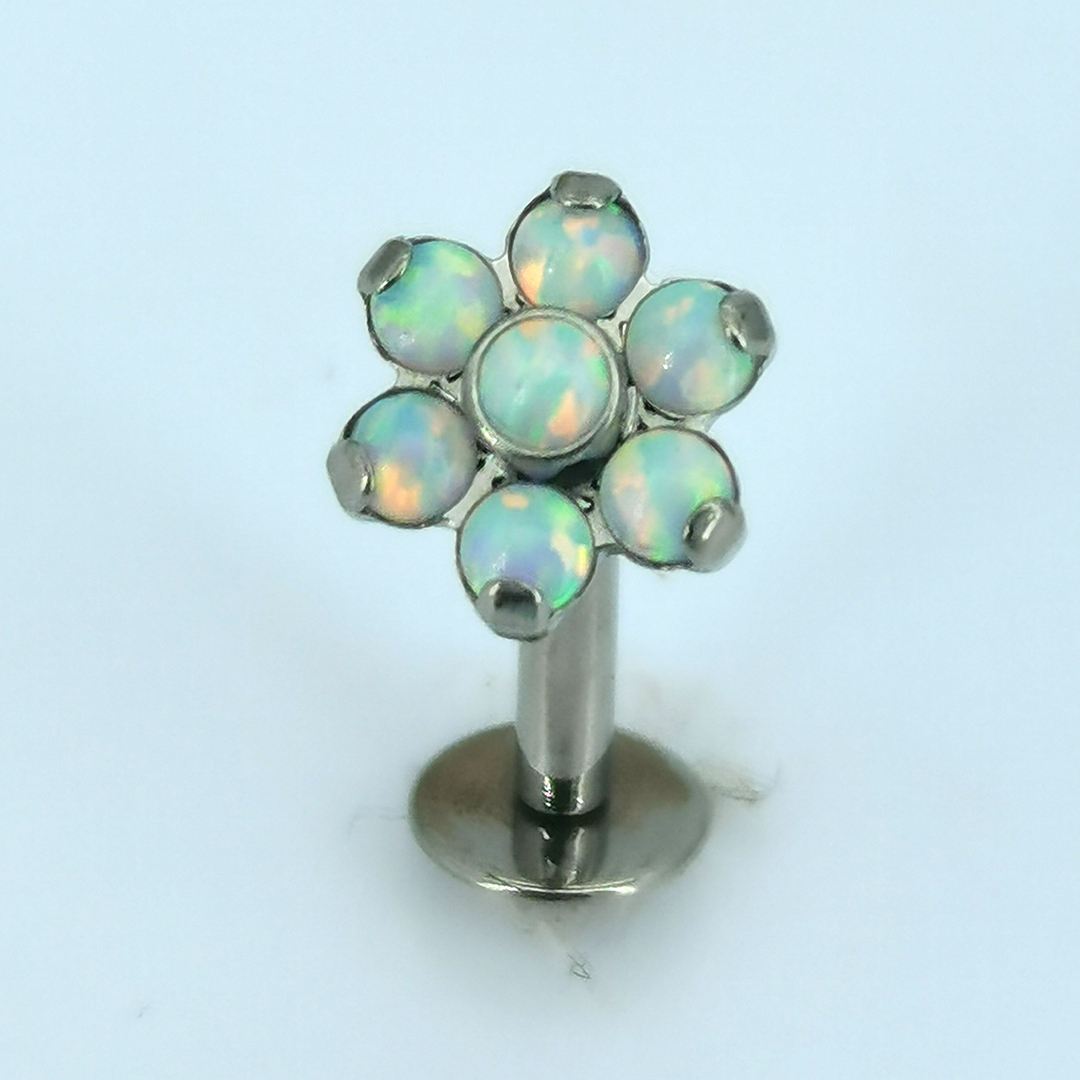 Polished Titanium/OP17