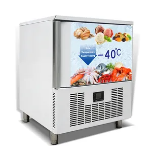 CE 5 trays Auto defrost kitchen quick freezing storage blast freezer/gelato freezers/blaste chiller for sale
