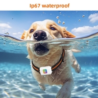 Nouveau traceur GPS pour animaux de compagnie en plastique étanche avec flash LED et alerte sonore, batterie 850 mAh, adapté aux chiens et aux chats