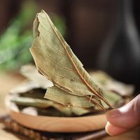 L087 Shi Zi Ye Prix d'usine Feuilles de kaki séchées Feuilles de tisane chinoise Feuilles de kaki séchées