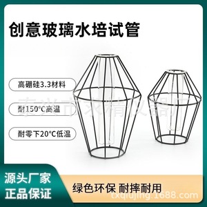 Seeking Excellence Glass Test Tube Vase Hydroponic Container For Flower Green Plant Desktop Use Geometric Shape - Product Image 5