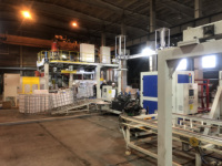Máquina de Moldeo por Soplado para Tanques IBC de HDPE de 1000L |   Moldeo por Extrusión y Soplado de 3 Capas para la Producción de Contenedores de Almacenamiento de Agua Química