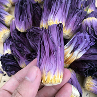 Kuncup bunga teratai biru kering, teh mekar ukuran besar, teh Herbal alami, teh bunga kering alami, penyembuhan aromaterapi