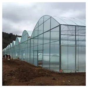 Professional design manufacturer low cost glass green house for commercial