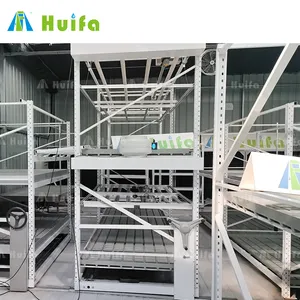 Sistema hidropónico Vertical para cultivo de fresas, bastidores de 2 capas con luces, para vegetales
