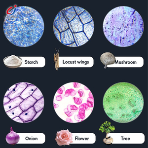 Microscopio Educativo Chengji, Microscopio Real con Doble Tubo y Doble Espejo, Juguetes Científicos Educativos para el Aprendizaje de los Niños - Product Image 2