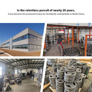 <span class=keywords><strong>Barra</strong></span> Olímpica Snbo para Gimnasio, <span class=keywords><strong>Barra</strong></span> de Pesas de 2.2m, <span class=keywords><strong>Barra</strong></span> de Halterofilia de 20kg - Product Image 6