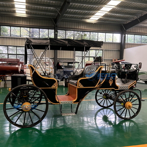 Meilleure Voiture Électrique de Luxe Royale Européenne 2024 pour Visites Touristiques en Carrosse à Chevaux, Véhicule de Transport Extérieur, Chariot à Chevaux à Vendre - Product Image 5