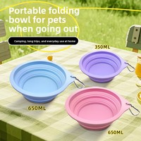Bol pliable en silicone pour animaux de compagnie, bol d'eau portable pour chien et chat avec mousqueton, pour les voyages en plein air, le camping, les fournitures pour animaux de compagnie