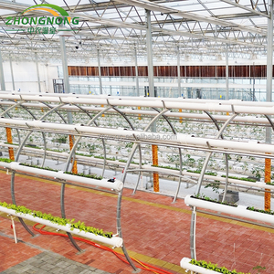 Prix <span class=keywords><strong>d</strong></span>'usine Grande serre en verre multi-chapelles avec ventilation, kits de culture de légumes, jardin botanique intelligent pour jardinage extérieur - Product Image 3