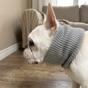 Collier de chien de taille personnalisée en polyester recyclé coquille d'huître - Product Image 1
