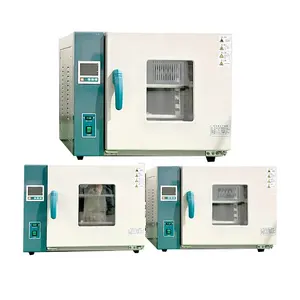 LIYI Lab Use Small 200 250 Horno de secado industrial de 300 grados Máquina de horno de secado de aire de circulación caliente para laboratorio