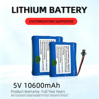 Pack de batteries au lithium 18650 5V 10600mAh Idéal pour les banques d'alimentation DIY et les projets
