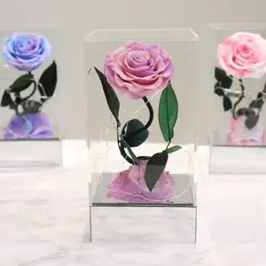 Thiết kế phổ biến giá trong đồ trang sức acrylic với Vòng cổ bảo quản hoa hồng hộp sang trọng