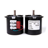 Moteur synchrone à aimant permanent à réduction 220V 60KTYZ 28w 40w 14w Micro moteur AC