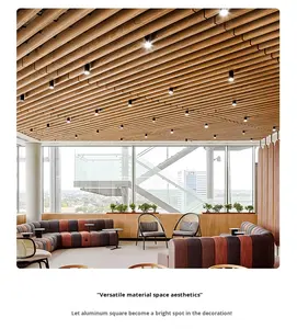 耐火クラスアルミニウム合金長方形の天井カスタムカラーホテル天井グリッド用防湿防止芸術デザイン - Product Image 2