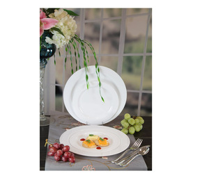 Assiette à gâteau ronde jetable <span class=keywords><strong>en</strong></span> <span class=keywords><strong>plastique</strong></span> rigide PS écologique BST 7.5 10.25 pouces, blanche, pour la restauration occidentale et les fêtes - Product Image 5