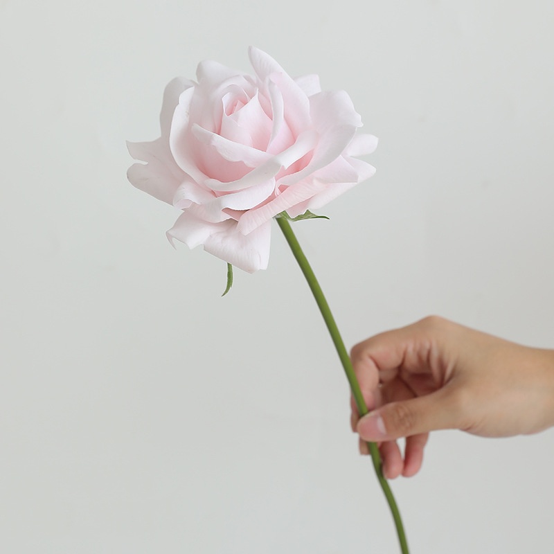 rosa claro