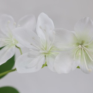 <span class=keywords><strong>Jazmín</strong></span> Artificial de Alta Gama, Árbol de <span class=keywords><strong>Jazmín</strong></span> Llorón, Decoración para Ventanas Interiores, Planta Verde Biónica, Bonsái Artificial - Product Image 3