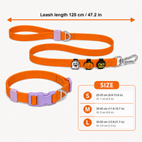 Ensemble collier et laisse pour chien en PVC imperméable pour Halloween, breloques détachables à thème de dessin animé, collier et laisse ajustables personnalisés pour chiens