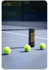 ODEASPORT ELITE <strong>Tennis</strong> Tournament High-pressure High-resilience Professional Training <strong>Tennis</strong> <strong>Balls</strong>, 3 <strong>Balls</strong> Dragon-pattern Cans - Product Image 3