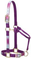 Accessoires de cheval en Nylon, licol de cheval, fabricant de haute qualité, fantaisie, motif personnalisé, licol de cheval en Nylon