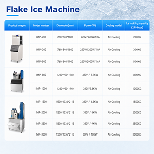Professional Large Capacity Commercial OEM Customizable Automatic 300kg/24h Flake <b>Ice</b> <b>Machines</b> for Various Industries Wide Capac - Product Image 5