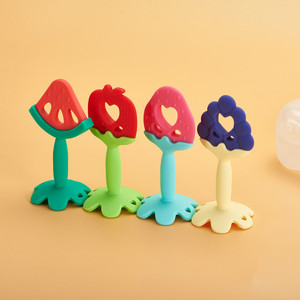 Baby Teether Safe Food Silicone Fruit Shape Teethers Chew Tooth Training Teether Toys with Box