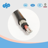 10mm2 aislamiento de PVC de fase única concéntricos Cable de aluminio con dos núcleo de cobre Cable de comunicación