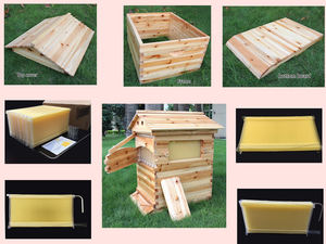 2025 vente chaude ensemble complet Langstroth en bois apiculture ruches miel flux automatique haute qualité ruche d'abeille pour rucher - Product Image 5