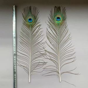 Plumes <span class=keywords><strong>de</strong></span> <span class=keywords><strong>paon</strong></span> naturelles teintes écologiquement pour les décorations <span class=keywords><strong>de</strong></span> mariage et <span class=keywords><strong>de</strong></span> la maison, bouquets et centres <span class=keywords><strong>de</strong></span> table - Product Image 1