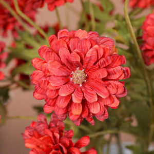 Artificial Daisy Flowers Red Plastic Fabric High Simulation Autumn Decor Home Floral Arrangement Single <b>Branch</b> JG-19101 - Product Image 4