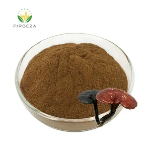 Harga Grosir Organik Ganoderma Lucidum Reishi Bubuk 99% Jamur Dinding Rusak Ekstrak Spore