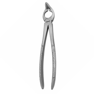 Suministros Médicos Profesionales, Pinzas Dentales para Extracción de Dientes, Instrumentos Dentales Manuales de Acero Inoxidable, Pinzas Dentales - Product Image 5