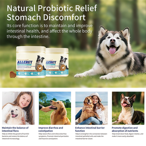 Suplemento Masticable Probiótico y Prebiótico para Mascotas <span class=keywords><strong>de</strong></span> Marca Privada OEM, para la Salud Intestinal, la Piel y el Pelaje, Alergias e Inmunidad en Perros - Product Image 4